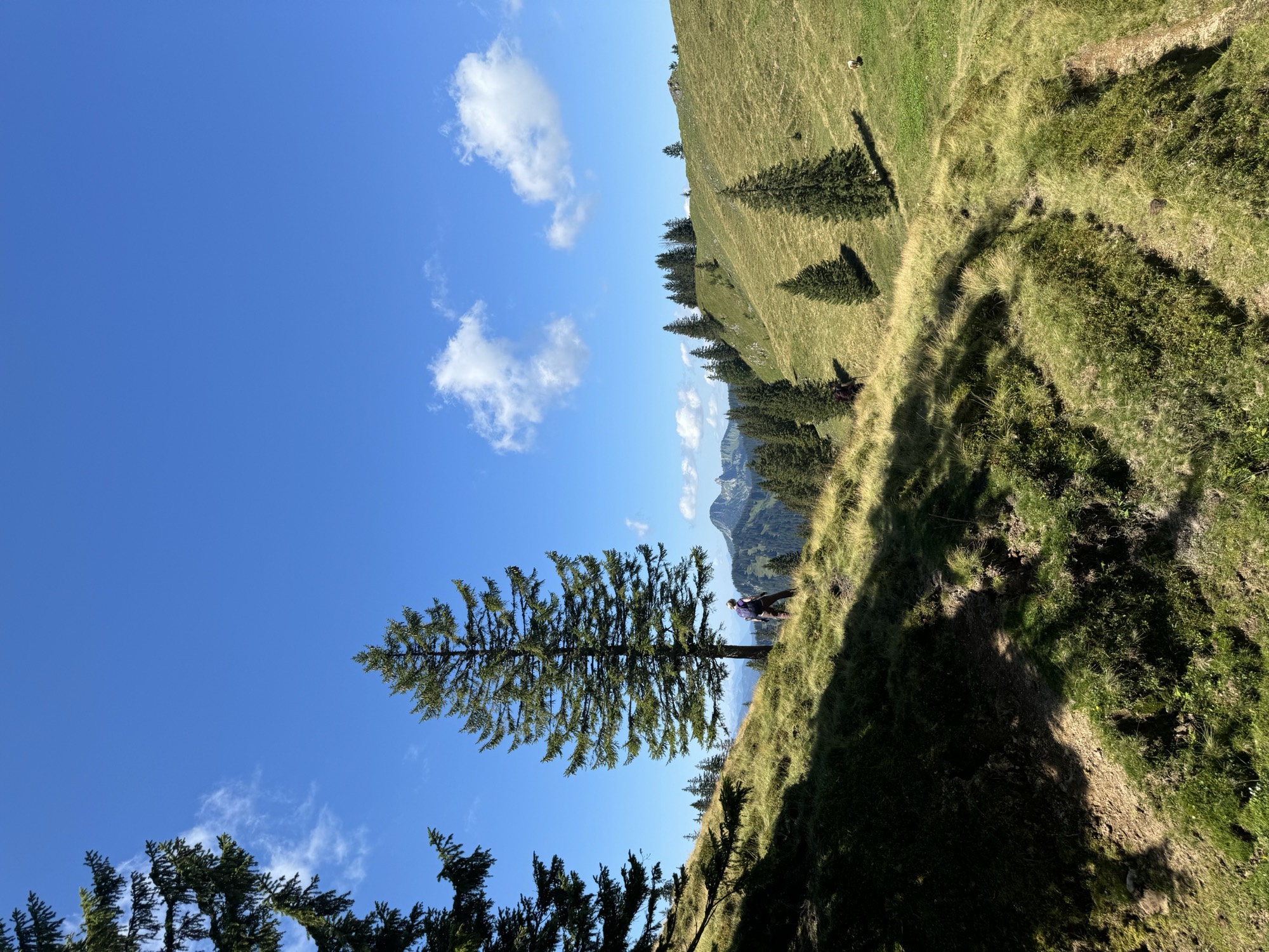 Judith wandert in den Bergen, Blick auf Alpenpanorama